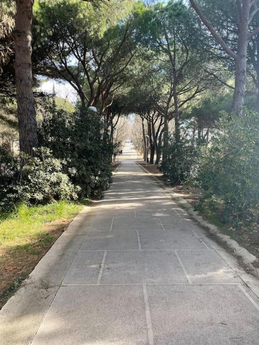 לה גרנד מוט Chez Laurence - Elegant Appartement Climatise Avec Wifi Et Parking מראה חיצוני תמונה